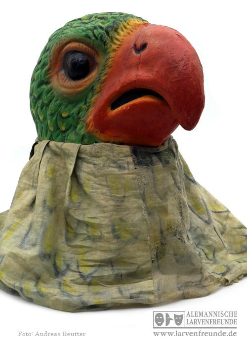 Mollikopf Papagei (2f)